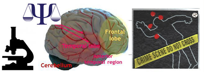 Forensic Neurobiology Underlying Violent Criminal Behavior