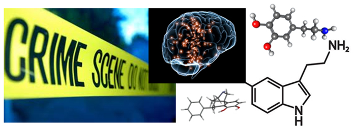 Monoamines & Violent Criminal Behavior
