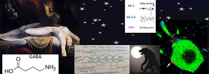 Sleep and Violent Behavior