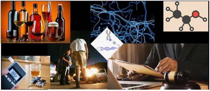 The Alcohol Blackout